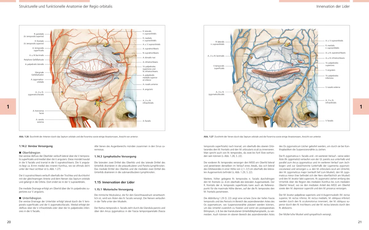Bildatlas Lidchirurgie: Angewandte Anatomie | Untersuchung | Plastische Lidchirurgie